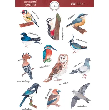 Samolepící dekorace ePipí Arch samolepek Ptáci A6 12 samolepek