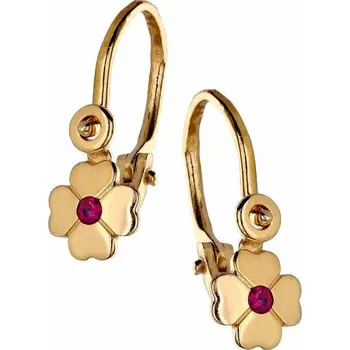 Náušnice Zlaton Náušnice žluté zlato 1.15g 001151607247