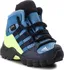 Dětská treková obuv adidas Terrex MID GTX I D97655