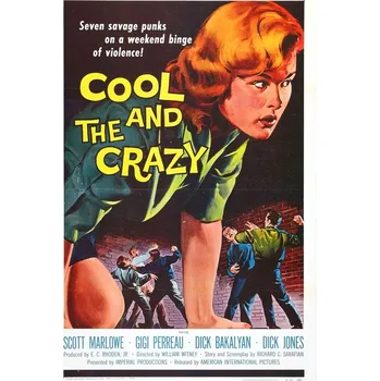 Plakát Plakát, Obraz - Cool And Crazy