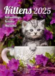 Helma365 Nástěnný kalendář Koťátka 2025