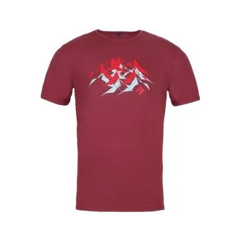 Pánské tričko Direct Alpine FLASH 5.0 palisander (mountain) červená S