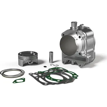 Motor pro motocykl Malossi Válec Malossi 300ccm 3113924