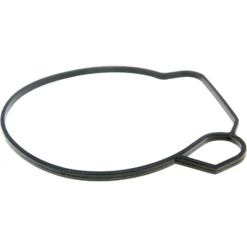 Těsnění pro motocykl 101_Octane Těsnění plovákové komory 36738