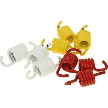 Malossi Spojkové pružinky 3 x 3ks 2911848