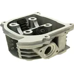 101_Octane Hlava válce - bez EGR BT12277