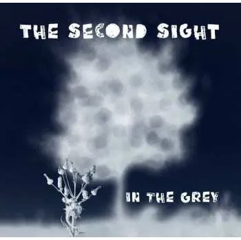Zahraniční hudba CD The Second Sight: In The Grey 2019
