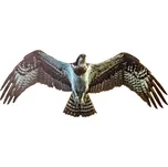 Plašič ptáků a škůdců - 2D maketa letícího orla, 64 x 25 cm OREL letící, silueta dravce - oboustranný potisk, 3 mm pěněné PVC + UV potisk, Kód: 27624