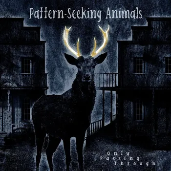 Zahraniční hudba Pattern-Seeking Animals: Only Passing Through - 2Vinyl (LP)+CD