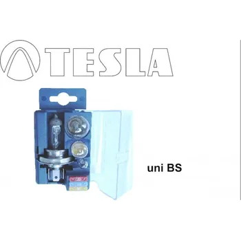 Autožárovka Sada žárovek H4 24V BS0402 TESLA