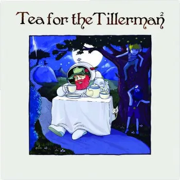 Zahraniční hudba Yusuf (Cat Stevens) - Tea For The Tillerman 2 (CD, 0888689)