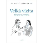 Velká vizita: Sloupky a povídky - Josef…