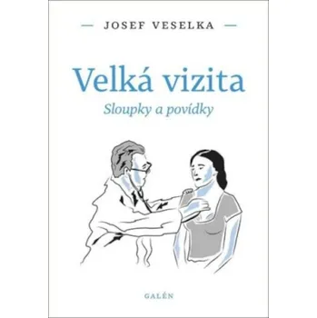 Velká vizita: Sloupky a povídky - Josef…