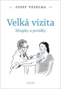 Velká vizita: Sloupky a povídky - Josef Veselka (2020, brožovaná)
