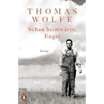 Schau heimwärts, Engel – Thomas Wolfe,Irma Wehrli (DE)