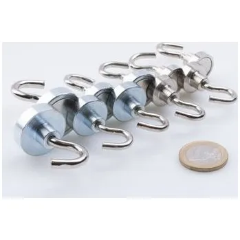 Dekorativní magnet 10 silných NdFeB magnetických háčků ve výhodné sadě 10dílná sada