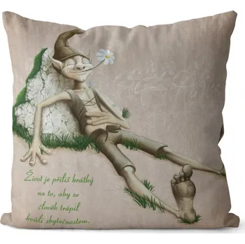 Dekorativní polštářek Polštář Kvůli zbytečnostem (Velikost: 40 x 40 cm)