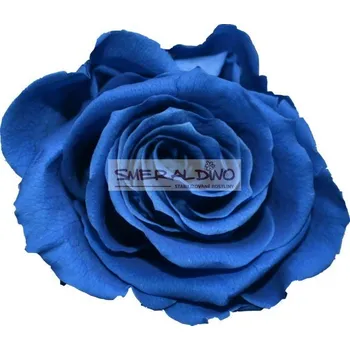 umělá květina Smeraldino Stabilizovaná růže královská modř