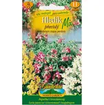 Nohel Garden Hledík převislý mix barev…