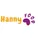 Hanny Food