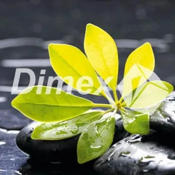 Obraz DIMEX | Obraz na skle | Zen GL-30-006 | 30 x 30 cm + Skleněný fotoobraz na stěnu české výroby DIMEX - GL-30-006 Zen, v rozměru 30 x 30 cm