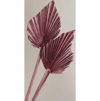 Palm spear col. Frosted červená