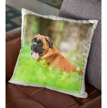 Polštář Polštář Pes Boxer - 40 x 38 cm