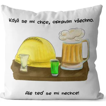 Dekorativní polštářek Polštář Když se chce (Velikost: 40 x 40 cm)