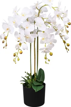 Umělá květina vidaXL Orchidej s květináčem 75 cm