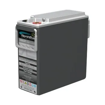 Trakční baterie Staniční (záložní) akumulátor NorthStar NSB 60FT SILVER Battery