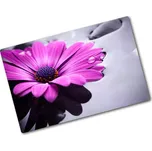 Deska na krájení skleněná Gerbera