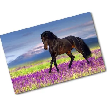 Kuchyňské prkénko Kuchyňská deska skleněná Kůň na poli levandule