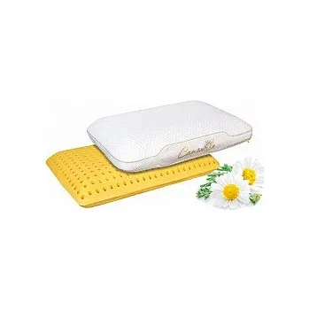 Polštář SLEEP RELAX MINI polštář 40x30x10 cm