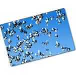 Kuchyňská deska skleněná Stádo holubů