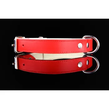 Obojek pro psa ZOOLeszcz Kožený obojek pro psy - BASIC Barva: Červená, Velikost: L