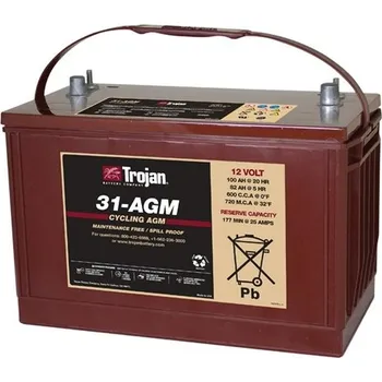 Trakční baterie Trojan 31-AGM 12V, 100Ah C20 (AGM trakční baterie )