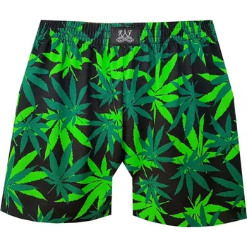 Trenýrky Dámské Trenýrky FOLTÝN DTR 22 Velikost: S