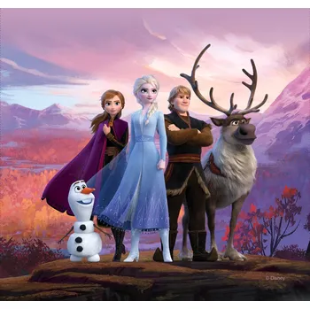 Polštář Dekorační polštář FROZEN 2 DISNEY 40x40cm CND 3129