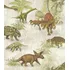 Tapeta Rasch Kids Teens III Dinosauři 212808 0,53 x 10,05 m