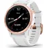 Chytré hodinky Garmin Fenix 6S Glass