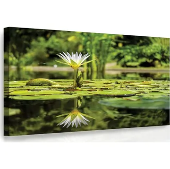 Malvis ® Obraz na stěnu Leknín Velikost: 90x60 cm