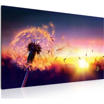 Malvis ® Obraz - pampeliška v zapadajícím slunci Velikost (šířka x výška): 90x60 cm