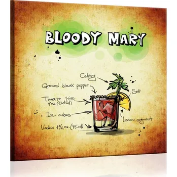 Obraz Malvis ® Obraz cedule Bloody Mary Velikost (šířka x výška): 30x30 cm