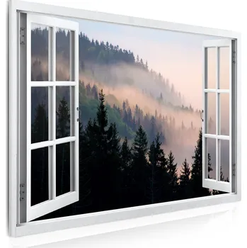 Obraz Malvis ® Obraz Pohled na les v mlze Velikost (šířka x výška): 60x40 cm