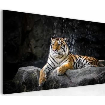 Malvis ® Obraz tygří důstojnost Velikost (šířka x výška): 60x40 cm