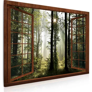 Obraz Malvis ® Okno v ranním lese Velikost: 90x60 cm