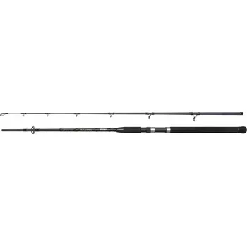 Rybářský prut SPRO SPRO Saltix 270cm 60-150g