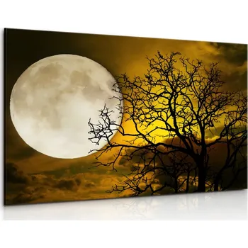Obraz Malvis ® Obraz Tajemný měsíc Velikost: 90x60 cm