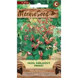 MoravoSeed Fazol šarlatový pnoucí 8 ks