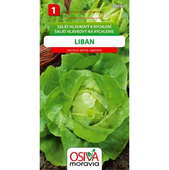 Semeno Salát hlávkový - Liban
